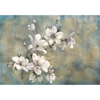 Magnólia poszter, fotótapéta, Vlies (104 x 70,5 cm)