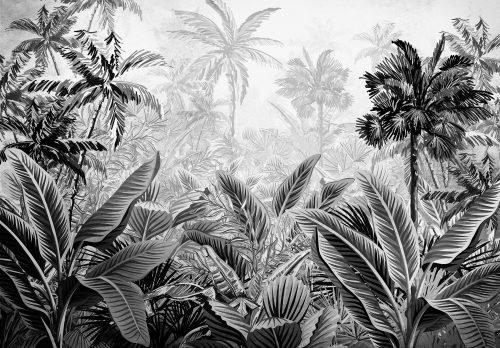 dzsungel szürkében poszter, fotótapéta, Vlies (104 x 70,5 cm)