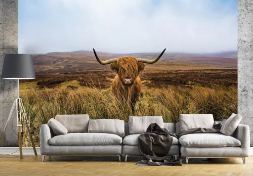 Bölény 2 poszter, fotótapéta (200 x 140 cm)