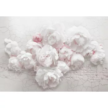 Rózsák poszter, fotótapéta