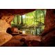 Barlang és erdő poszter, fotótapéta, Vlies (416 x 290 cm)