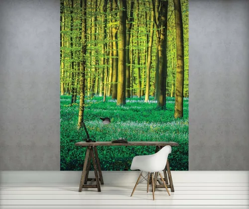 Erdő poszter, fotótapéta (184 x 254 cm)