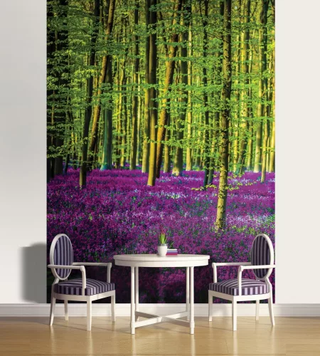 Erdő poszter, fotótapéta (184 x 254 cm)