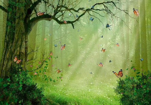 Erdő pillangókkal poszter, fotótapéta, Vlies (416 x 290 cm)