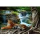 Tigris a vízesésnél poszter, fotótapéta, Vlies (104 x 70,5 cm)