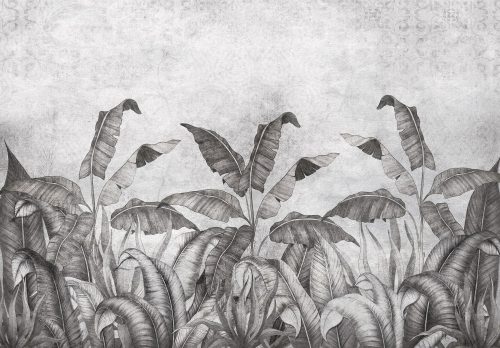 Fekete-fehér trópusi levelek beton háttérel poszter, fotótapéta (256 x 184 cm)