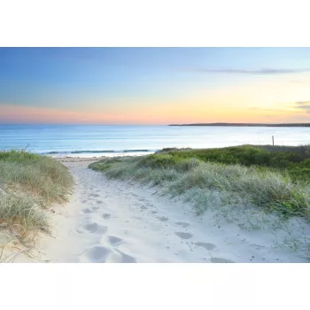 Homokos út a tengerpartra poszter, fotótapéta