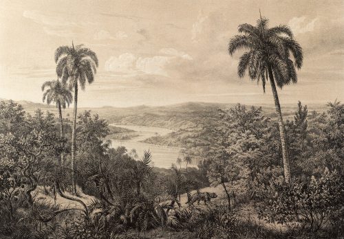 Vintage trópusi kép poszter, fotótapéta, Vlies (104 x 70,5 cm)