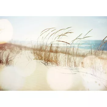 Nádszál a parton poszter, fotótapéta