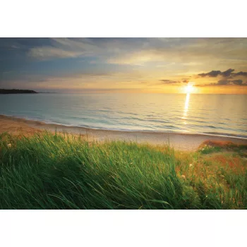 Naplemente a füves partról poszter, fotótapéta