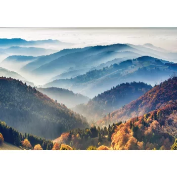 Fekete erdő, Németország poszter, fotótapéta