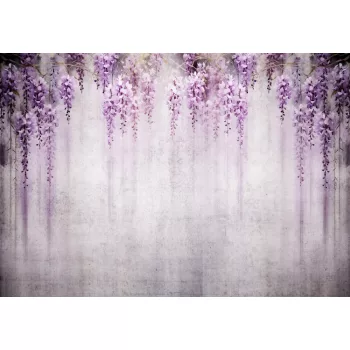 Lila wisteria poszter, fotótapéta