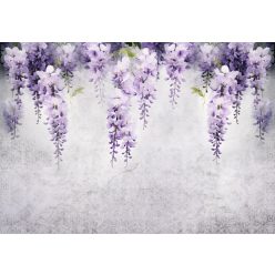   Lelógó lila wisteria poszter, fotótapéta, Vlies (350 x 250 cm)