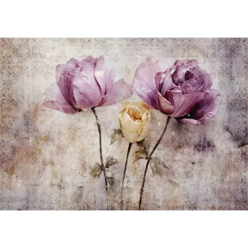 Lila rózsák poszter, fotótapéta