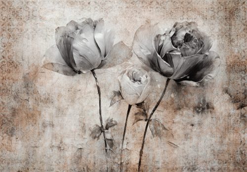 Szürke rózsák poszter, fotótapéta Vlies (254 x 184 cm)