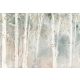 Fák - A Woodland Walk I, Lisa Audit poszter, fotótapéta, Vlies (104 x 70,5 cm)