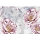 Rózsaszín pünkösdi rózsák poszter, fotótapéta, Vlies (104 x 70,5 cm)