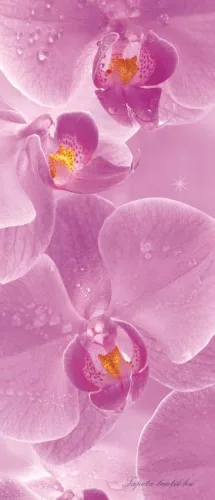 Orchidea öntapadós poszter, fotótapéta (91 x 211 cm)