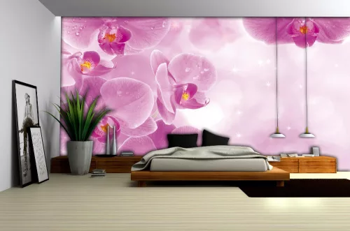 Orchideák poszter, fotótapéta