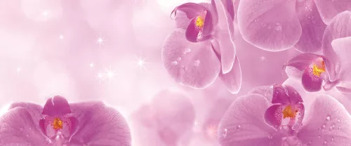 Orchideák poszter, fotótapéta (250 x 104 cm)