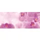 Orchideák poszter, fotótapéta (250 x 104 cm)