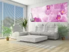 Orchideák poszter, fotótapéta (250 x 104 cm)