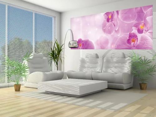 Orchideák poszter, fotótapéta (250 x 104 cm)