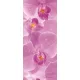 Orchidea poszter, fotótapéta (91 x 211 cm)