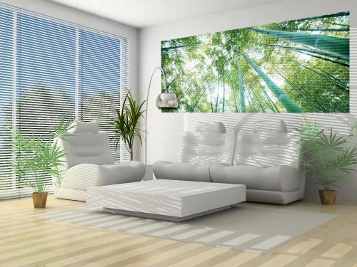Bambusz erdő poszter, fotótapéta (250 x 104 cm)