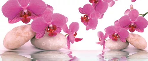 Orchideák poszter, fotótapéta (250 x 104 cm)