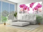 Orchideák poszter, fotótapéta (250 x 104 cm)