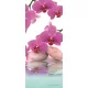 Orchidea poszter, fotótapéta (91 x 211 cm)