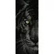 Tigris öntapadós poszter, fotótapéta (91 x 211 cm)