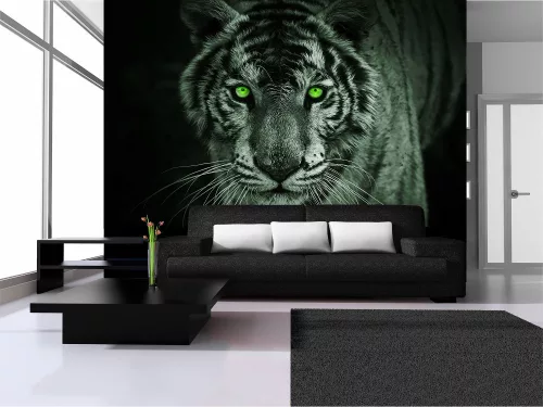 Tigris poszter, fotótapéta