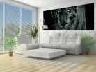 Tigris poszter, fotótapéta (250 x 104 cm)