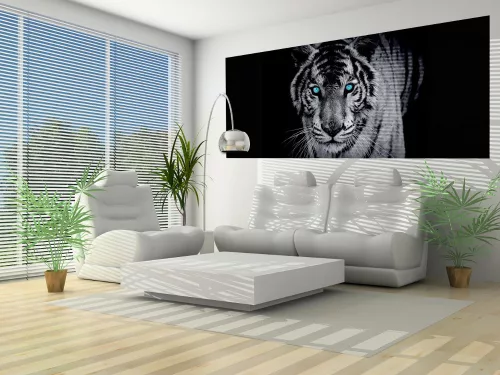 Tigris poszter, fotótapéta (250 x 104 cm)