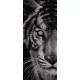 Tigris poszter, fotótapéta (91 x 211 cm)