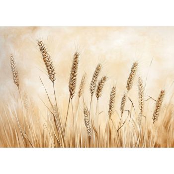   Bézs búzakalászok poszter, fotótapéta, Vlies (104 x 70,5 cm)