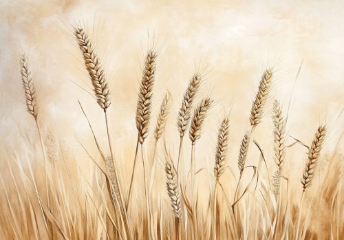 Bézs búzakalászok poszter, fotótapéta, Vlies (104 x 70,5 cm)