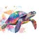 TEknős és színfoltok poszter, fotótapéta, Vlies (100 x 75 cm)