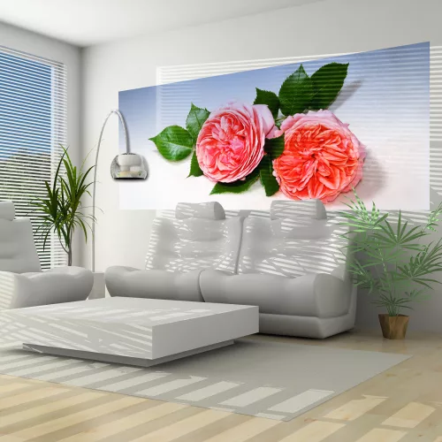 Bazsarózsák poszter, fotótapéta (250 cm x 104 xm)