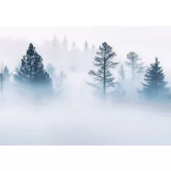   Misztikus ködös fenyves poszter, fotótapéta (200 x 140 cm)