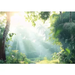   Napsugarak a zöld erdőben poszter, fotótapéta (200 x 140 cm)