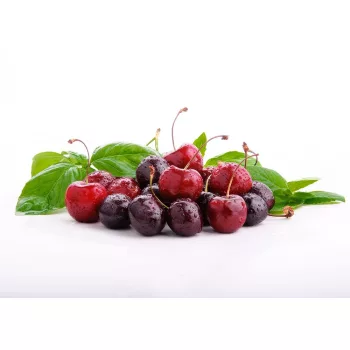 Cseresznye poszter, fotótapéta