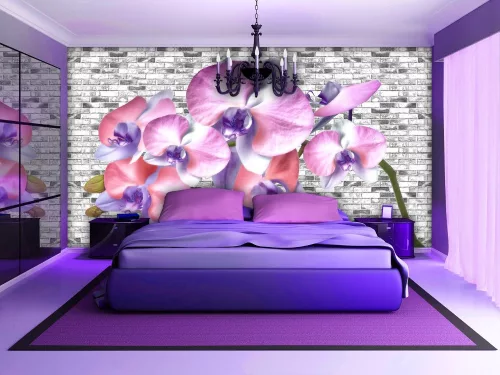 Orchidea poszter, fotótapéta