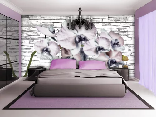 Orchidea poszter, fotótapéta