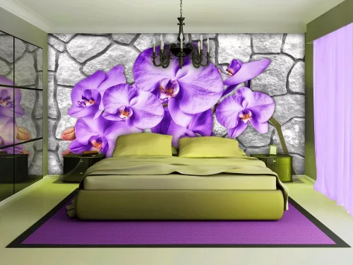 Orchidea poszter, fotótapéta