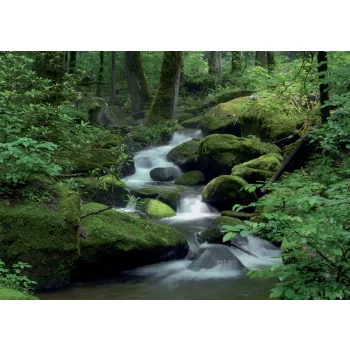 Mountain stream poszter, fotótapéta