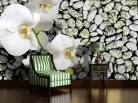 Orchidea poszter, fotótapéta