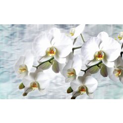 Orchidea poszter, fotótapéta, Vlies (104 x 70,5 cm)